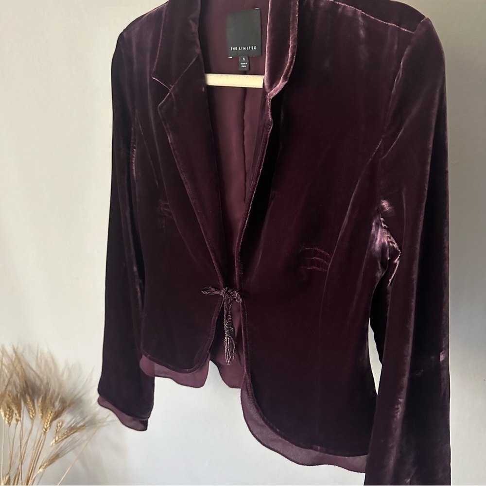 The Limited Vintage Velour Holiday Front Tie Blazer in Burgundy Small Holiday - Picture 8 of 10